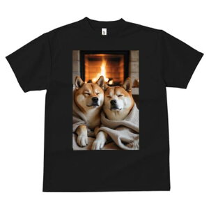 Č TVc fB[X t@  t  vg JWA 킢 lԗp h ̃fUC ʔ gF Č ѕz  bNX