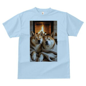 Č TVc fB[X t@  t  vg JWA 킢 lԗp h ̃fUC ʔ gF Č ѕz  bNX