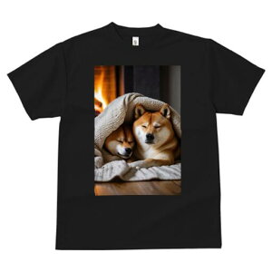 Č TVc fB[X t@  t  vg JWA 킢 lԗp h ̃fUC ʔ gF Č ѕz g ~