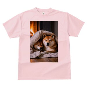 Č TVc fB[X t@  t  vg JWA 킢 lԗp h ̃fUC ʔ gF Č ѕz g ~