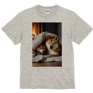 Č TVc fB[X t@  t  vg JWA 킢 lԗp h ̃fUC ʔ gF Č ѕz g ~