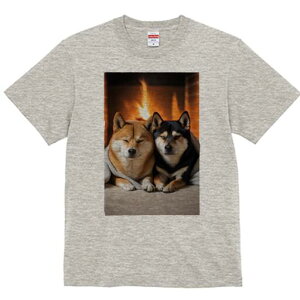 Č TVc fB[X t@  t  vg JWA 킢 lԗp h ̃fUC ʔ gF Č  ѕz