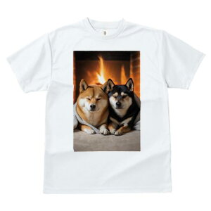 Č TVc fB[X t@  t  vg JWA 킢 lԗp h ̃fUC ʔ gF Č  ѕz