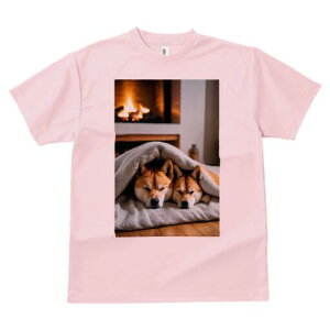 Č TVc fB[X t@  t  vg JWA 킢 lԗp h ̃fUC ʔ gF Č ѕz 