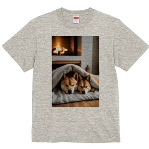 Č TVc fB[X t@  t  vg JWA 킢 lԗp h ̃fUC ʔ gF Č ѕz 