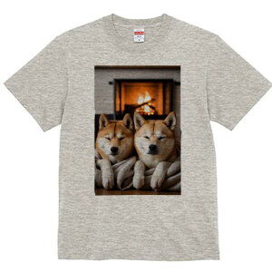 Č TVc fB[X t@  t  vg JWA 킢 lԗp h ̃fUC ʔ gF Č ѕz ~ 