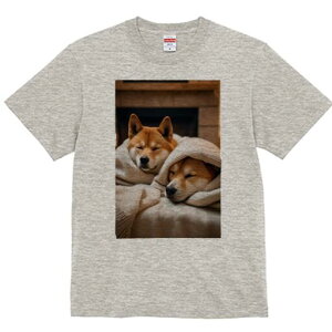 Č TVc fB[X t@  t  vg JWA 킢 lԗp h ̃fUC ʔ ѕz Č gF