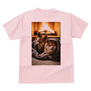 Č TVc fB[X t@  t  vg JWA 킢 lԗp h ̃fUC ʔ gF Č ѕz g ~