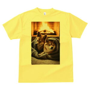 Č TVc fB[X t@  t  vg JWA 킢 lԗp h ̃fUC ʔ gF Č ѕz g ~