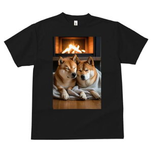 Č TVc fB[X t@  t  vg JWA 킢 lԗp h ̃fUC ʔ gF Č ѕz 