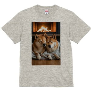 Č TVc fB[X t@  t  vg JWA 킢 lԗp h ̃fUC ʔ gF Č ѕz 