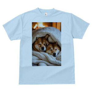 Č TVc fB[X t@  t  vg JWA 킢 lԗp h ̃fUC ʔ ѕz Č gF g ~