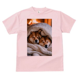 Č TVc fB[X t@  t  vg JWA 킢 lԗp h ̃fUC ʔ ѕz Č gF g ~