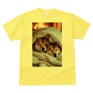 柴犬 Tシャツ レディース 犬ファン 半袖 春夏 犬柄 プリント カジュアル かわいい 人間用 個性派 ここだけのデザイン 面白 毛布 柴犬 暖炉 暖かい 冬