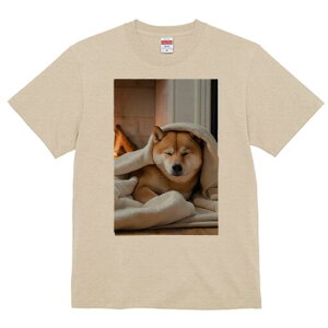 Č TVc fB[X t@  t  vg JWA 킢 lԗp h ̃fUC ʔ ѕz Č gF