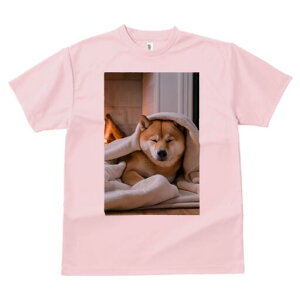 Č TVc fB[X t@  t  vg JWA 킢 lԗp h ̃fUC ʔ ѕz Č gF