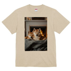 Č TVc fB[X t@  t  vg JWA 킢 lԗp h ̃fUC ʔ gF Č 낤 ѕz