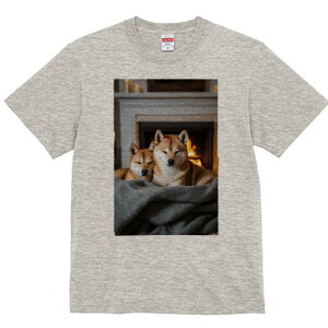 Č TVc fB[X t@  t  vg JWA 킢 lԗp h ̃fUC ʔ gF Č 낤 ѕz