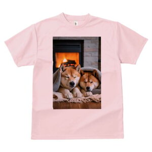 Č TVc fB[X t@  t  vg JWA 킢 lԗp h ̃fUC ʔ gF Č uPbg g 