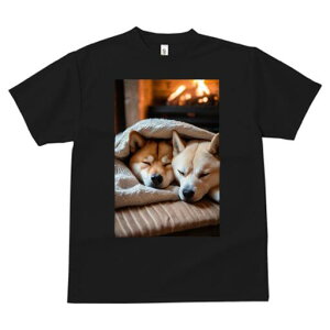 Č TVc fB[X t@  t  vg JWA 킢 lԗp h ̃fUC ʔ gF Č ѕz NbV