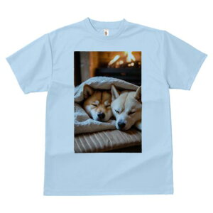 Č TVc fB[X t@  t  vg JWA 킢 lԗp h ̃fUC ʔ gF Č ѕz NbV