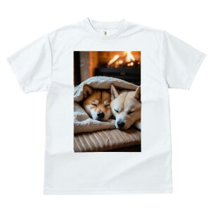 Č TVc fB[X t@  t  vg JWA 킢 lԗp h ̃fUC ʔ gF Č ѕz NbV