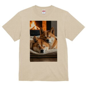 Č TVc fB[X t@  t  vg JWA 킢 lԗp h ̃fUC ʔ gF Č x  ѕz