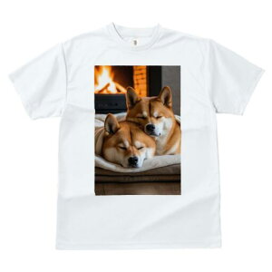柴犬 Tシャツ レディース 犬ファン 半袖 春夏 犬柄 プリント カジュアル かわいい 人間用 個性派 ここだけのデザイン 面白 暖炉 柴犬 休息 睡眠 毛布