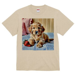 S[fgo[ TVc fB[X t@  t  vg JWA 킢 lԗp h ̃fUC ʔ C`S S[fgo[ NbV `Fb