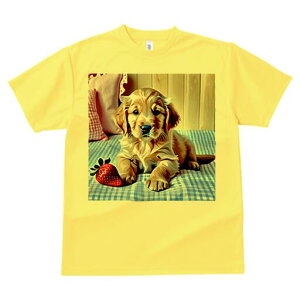 S[fgo[ TVc fB[X t@  t  vg JWA 킢 lԗp h ̃fUC ʔ C`S S[fgo[ NbV `Fb