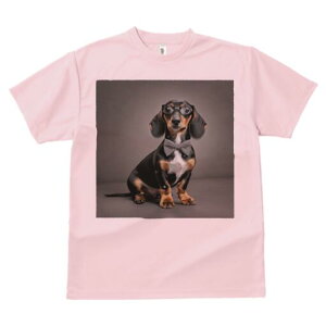 _bNXth TVc fB[X t@  t  vg JWA 킢 lԗp h ̃fUC ʔ lN^C _bNXth ዾ