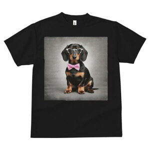 _bNXth TVc fB[X t@  t  vg JWA 킢 lԗp h ̃fUC ʔ Kl _bNXth lN^C