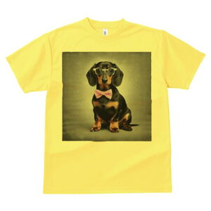 _bNXth TVc Y LbY t@  t  vg JWA 킢 lԗp h ̃fUC ʔ Kl _bNXth lN^C