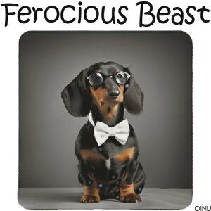 lN^C _bNXtg ዾ NbVJo[ 45×45cm Aj}   NbV{̕t ` t@