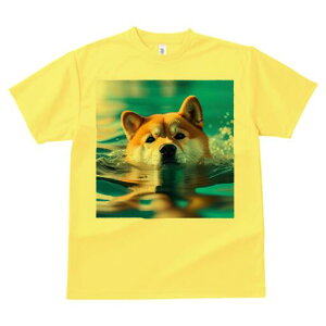 Č TVc fB[X t@  t  vg JWA 킢 lԗp h ̃fUC ʔ  Č  g 