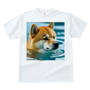 Č TVc fB[X t@  t  vg JWA 킢 lԗp h ̃fUC ʔ  Č 