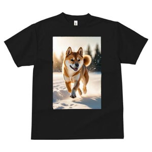 Č TVc fB[X t@  t  vg JWA 킢 lԗp h ̃fUC ʔ  Č ~ R i