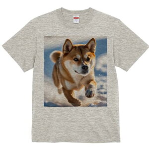 Č TVc fB[X t@  t  vg JWA 킢 lԗp h ̃fUC ʔ  Č ~ AEghA