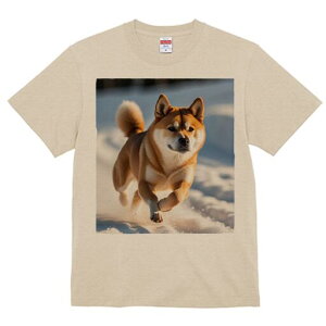 Č TVc fB[X t@  t  vg JWA 킢 lԗp h ̃fUC ʔ  Č