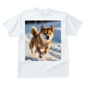 Č TVc fB[X t@  t  vg JWA 킢 lԗp h ̃fUC ʔ  Č