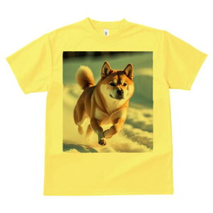 Č TVc fB[X t@  t  vg JWA 킢 lԗp h ̃fUC ʔ  Č