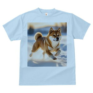 Č TVc fB[X t@  t  vg JWA 킢 lԗp h ̃fUC ʔ  Č ~ AEghA i