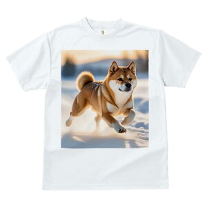 �Č� T�V���c ���f�B�[�X ���t�@�� ���� �t�� ���� �v�����g �J�W���A�� ���킢�� �l�ԗp ���h ���������̃f�U�C�� �ʔ� �� �Č� �~ �A�E�g�h�A ���i