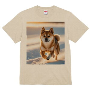 Č TVc fB[X t@  t  vg JWA 킢 lԗp h ̃fUC ʔ  Č ~ 