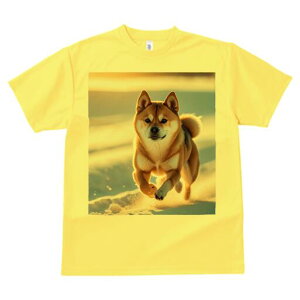 Č TVc fB[X t@  t  vg JWA 킢 lԗp h ̃fUC ʔ  Č ~ 