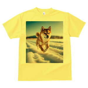 Č TVc fB[X t@  t  vg JWA 킢 lԗp h ̃fUC ʔ  Č ~ 