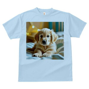 Č TVc fB[X t@  t  vg JWA 킢 lԗp h ̃fUC ʔ  Č ~ 