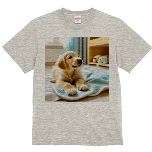 S[fgo[ TVc fB[X t@  t  vg JWA 킢 lԗp h ̃fUC ʔ  S[fgo[ J[e ѕz 