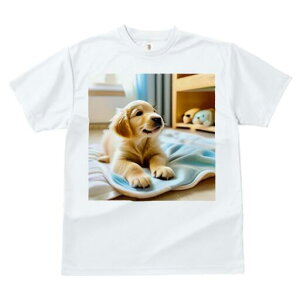 S[fgo[ TVc fB[X t@  t  vg JWA 킢 lԗp h ̃fUC ʔ  S[fgo[ J[e ѕz 