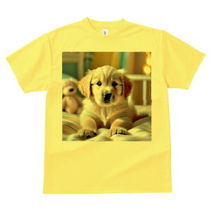 S[fgo[ TVc fB[X t@  t  vg JWA 킢 lԗp h ̃fUC ʔ ʂ S[fgo[